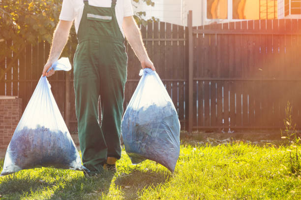 Best Professional Junk Removal  in Belding, MI